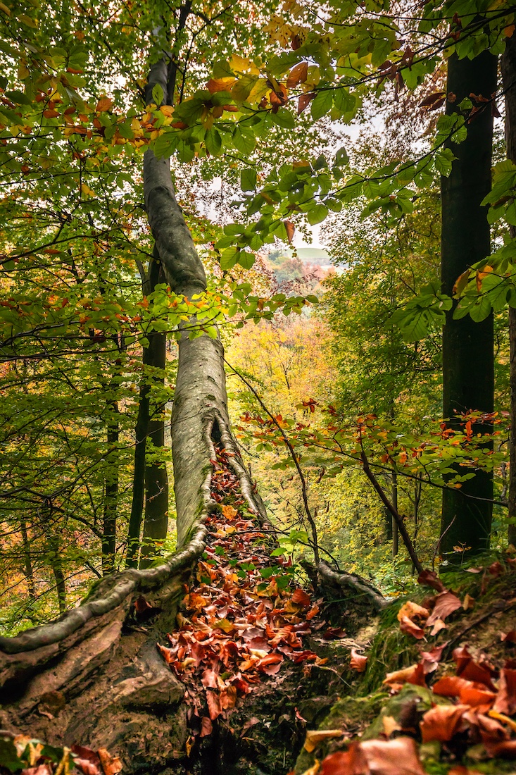 Albert Tröbinger verbindet Natur mit etwas Göttlichem